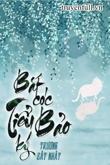 Bắt Cóc Tiểu Bảo ký