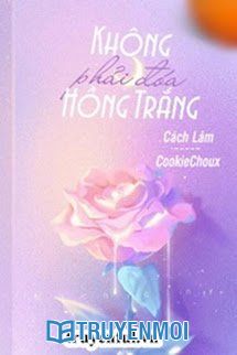 Không Phải Đóa Hồng Trắng