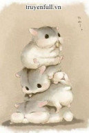 Hamster nhỏ nhà thầy giáo Tiêu